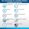 Wall Vinyl Sticker, Adventure Theme, Decal for Walls - Image 8