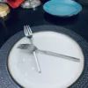 Vibhsa Stainless Steel Dinner Fork Set of 6 - Image 4