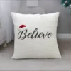 Vibhsa 20" x 20" Christmas Pillow- Believe - Image 9