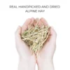 Organic Case - Alpine Hay - Image 2
