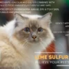 Lime Sulfur Pet Skin Cream - Image 5