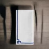 Table Cloth Napkins Set of 4 with Blue Embroidery - Image 2